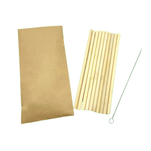 Pailles bambou réutilisables lot 10 | Écologiques zéro déchet brosse nettoyage | Verdyo