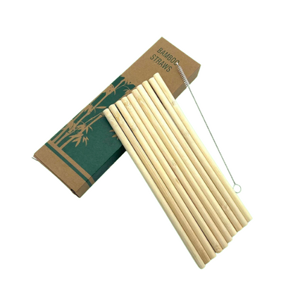 Pailles bambou réutilisables lot 10 | Écologiques zéro déchet brosse nettoyage | Verdyo
